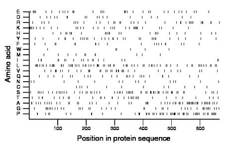 amino acid map