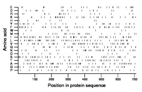 amino acid map