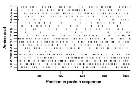 amino acid map