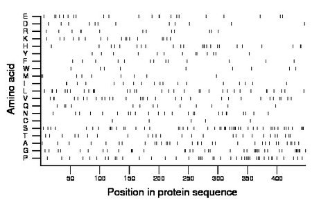 amino acid map