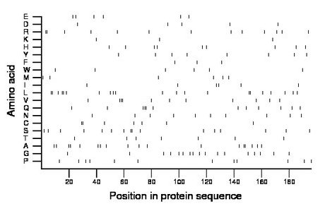 amino acid map