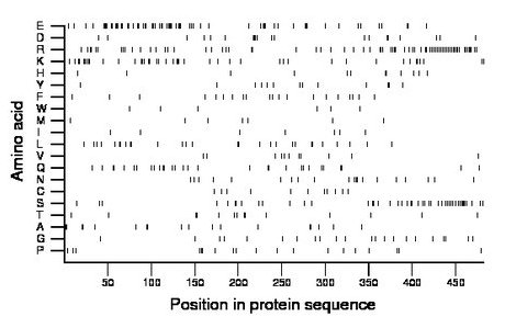 amino acid map