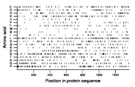 amino acid map