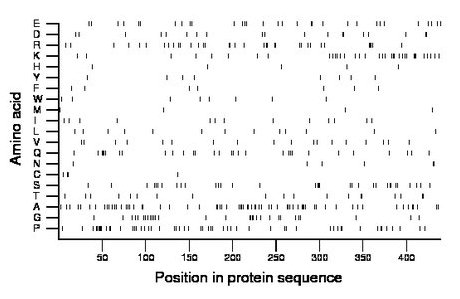 amino acid map