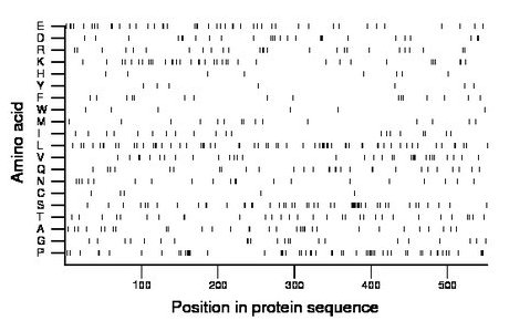 amino acid map