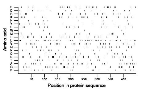 amino acid map