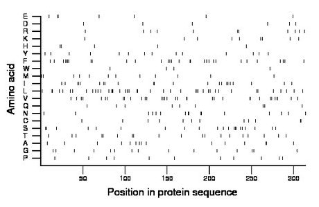 amino acid map