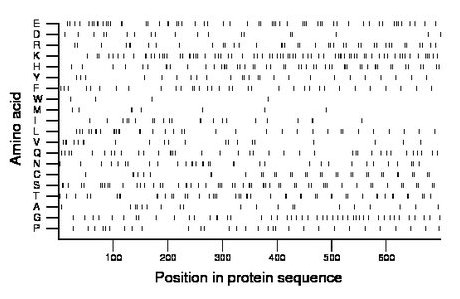 amino acid map