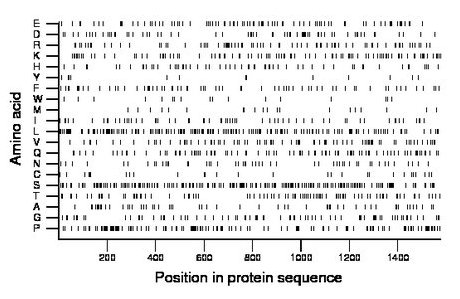 amino acid map