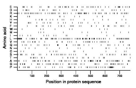 amino acid map