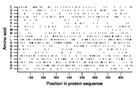 amino acid map