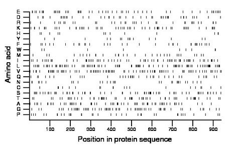 amino acid map