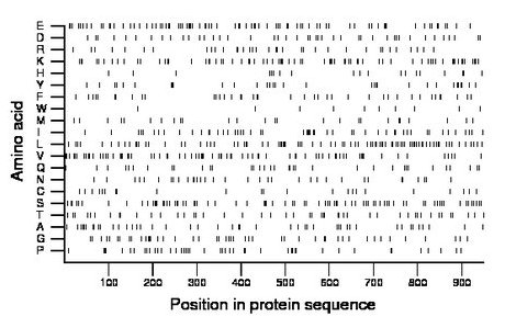 amino acid map