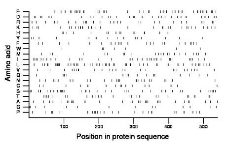 amino acid map