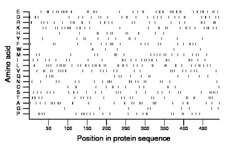 amino acid map