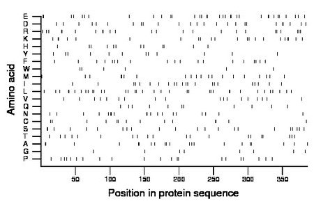 amino acid map