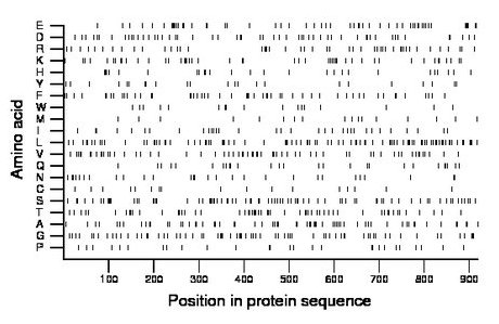 amino acid map