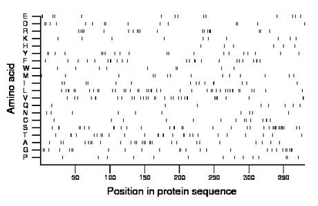 amino acid map