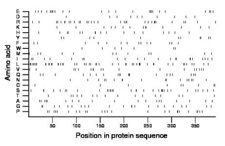 amino acid map