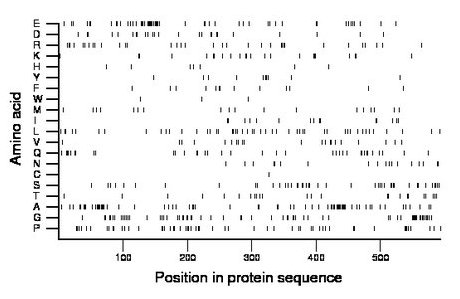 amino acid map