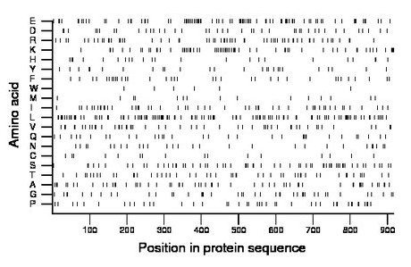 amino acid map