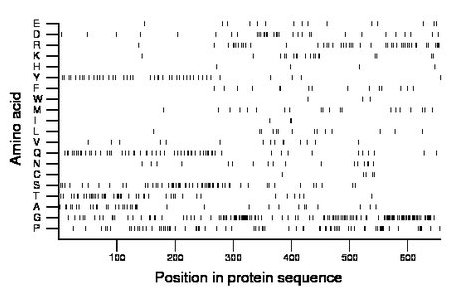 amino acid map