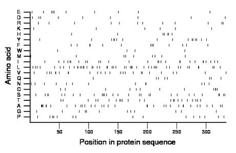 amino acid map