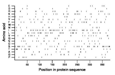 amino acid map