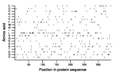 amino acid map