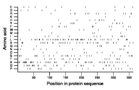 amino acid map