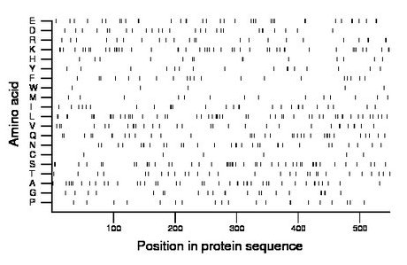 amino acid map