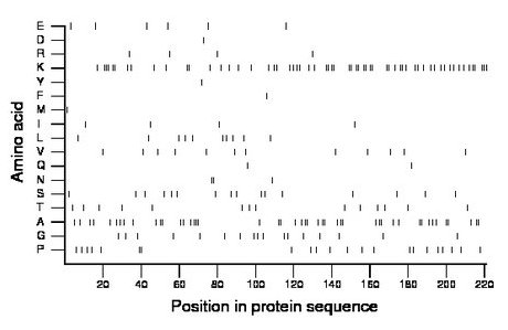 amino acid map