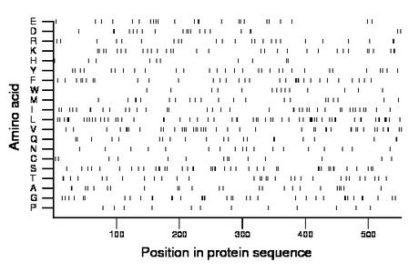 amino acid map