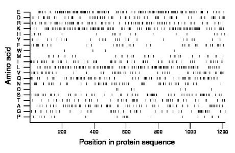 amino acid map