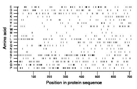 amino acid map