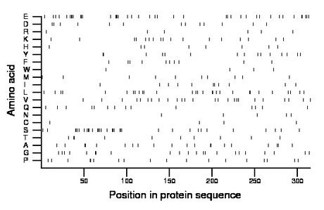 amino acid map