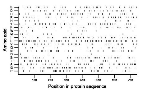 amino acid map