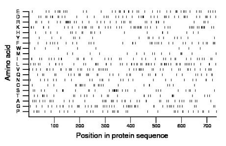 amino acid map