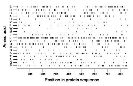 amino acid map