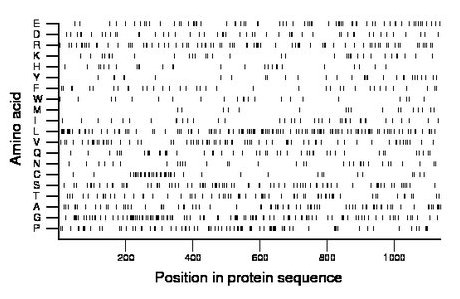 amino acid map