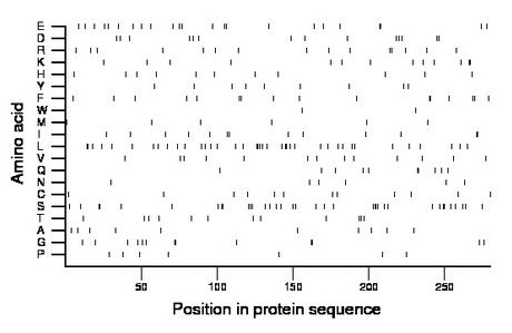 amino acid map