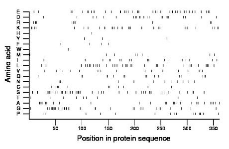 amino acid map