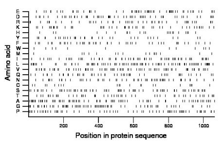 amino acid map