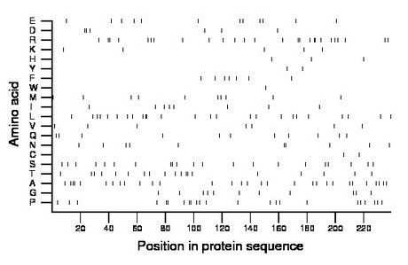 amino acid map