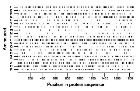 amino acid map