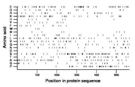 amino acid map