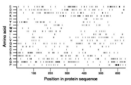 amino acid map