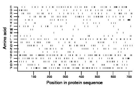 amino acid map