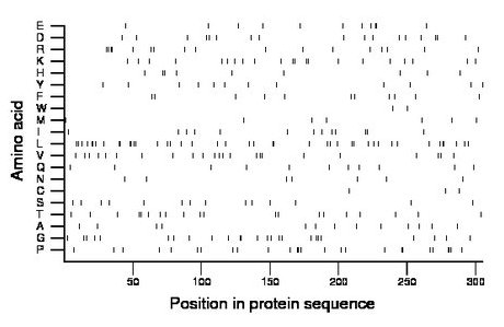 amino acid map