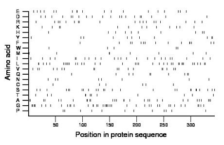 amino acid map